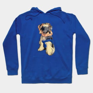 Funny Dog Hoodie